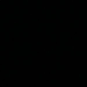 Meet your Posher, Levi